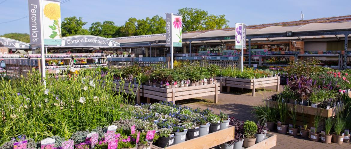 Chessington Garden Centre
